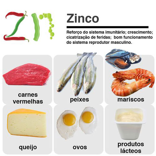 Alimentos ricos em zinco