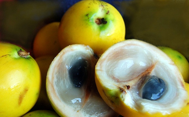 Abiu é uma fruta que ajuda na pneumonia