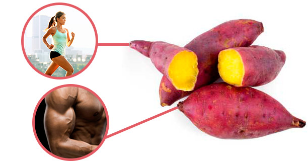 Dieta da batata-doce: mais músculos e menos peso